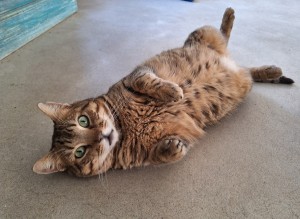 Walter